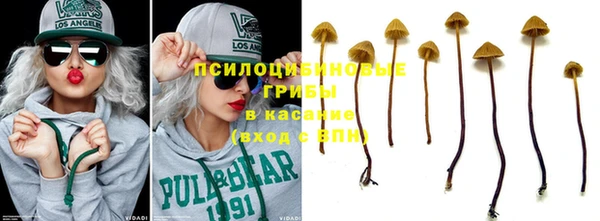 меф Горнозаводск
