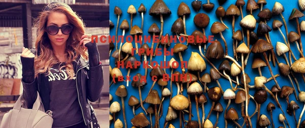jwh Куйбышев