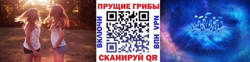 Псилоцибиновые грибы Cubensis  площадка состав  Новый Оскол 
